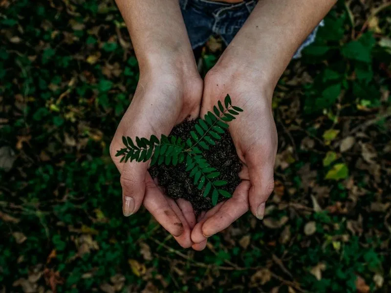 Eco-Friendly Corporate Gifts gallery 3